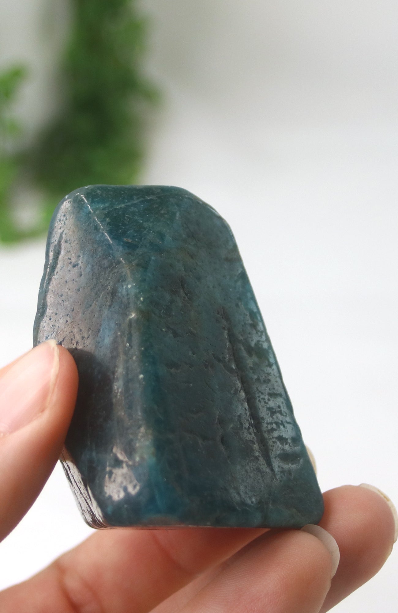 Blue Apatite Freeform